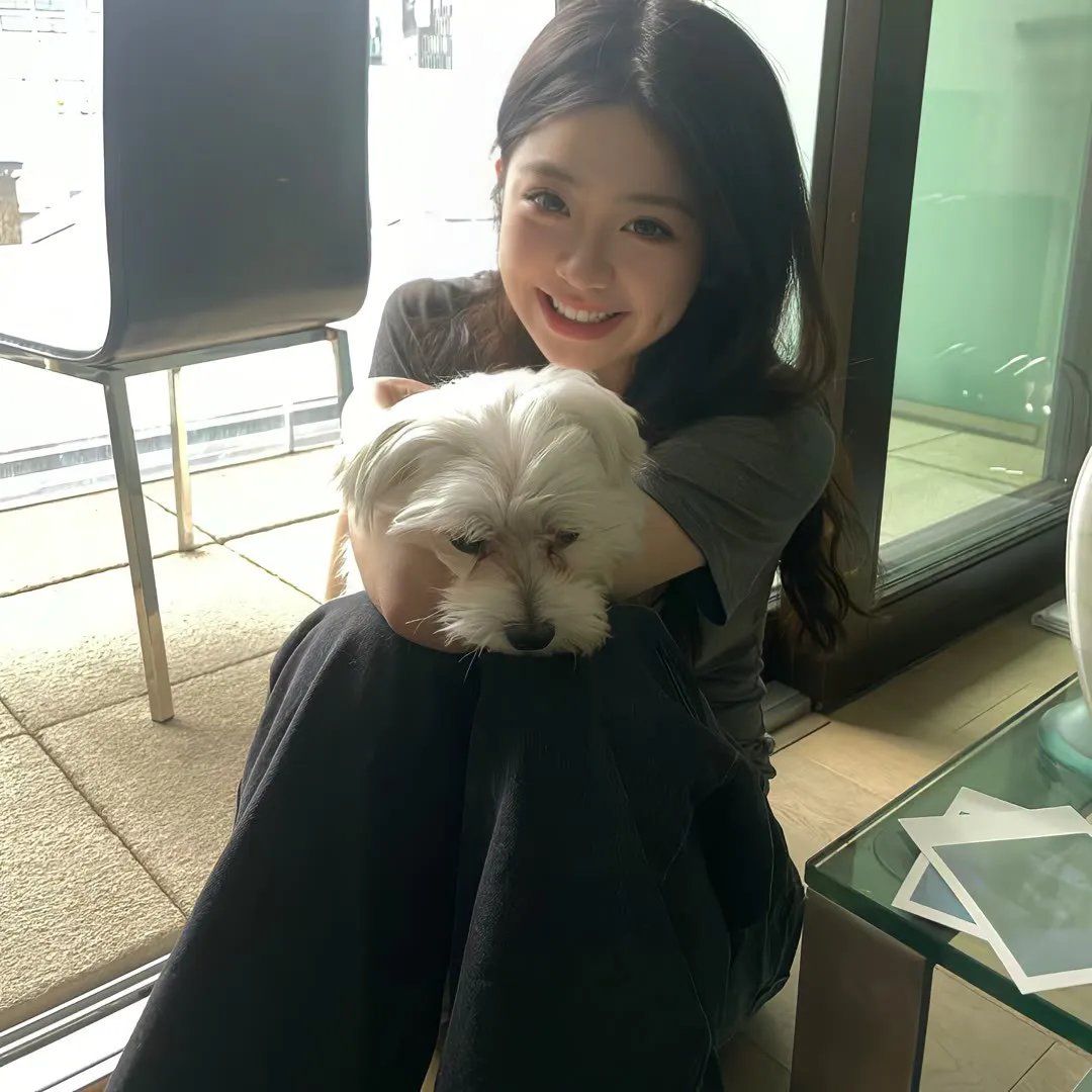 听说爱情已迟暮